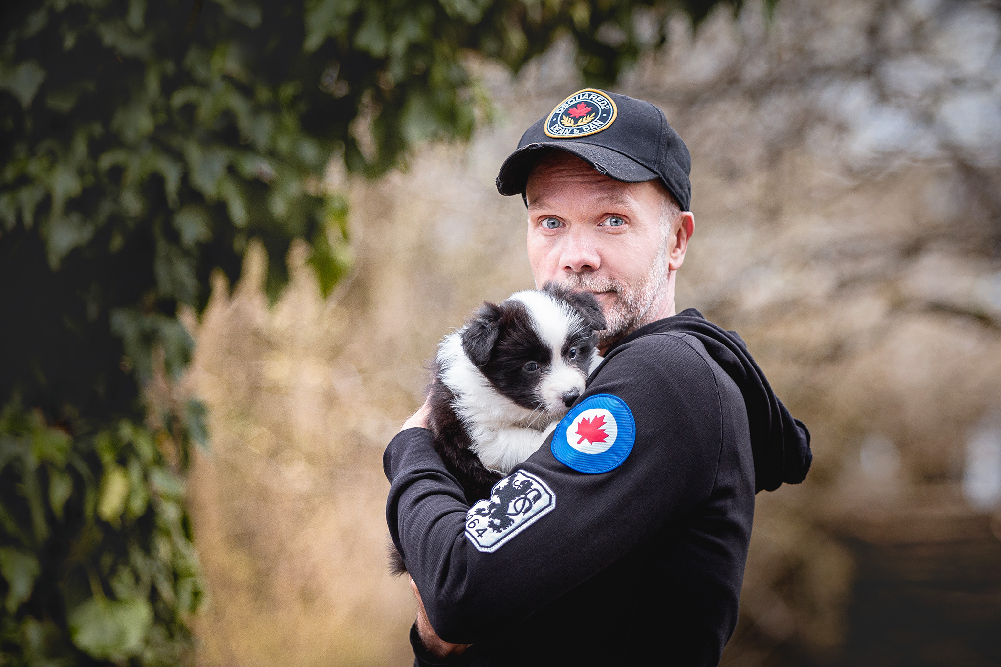 Border Collie Welpen in der sechsten Lebenswoche