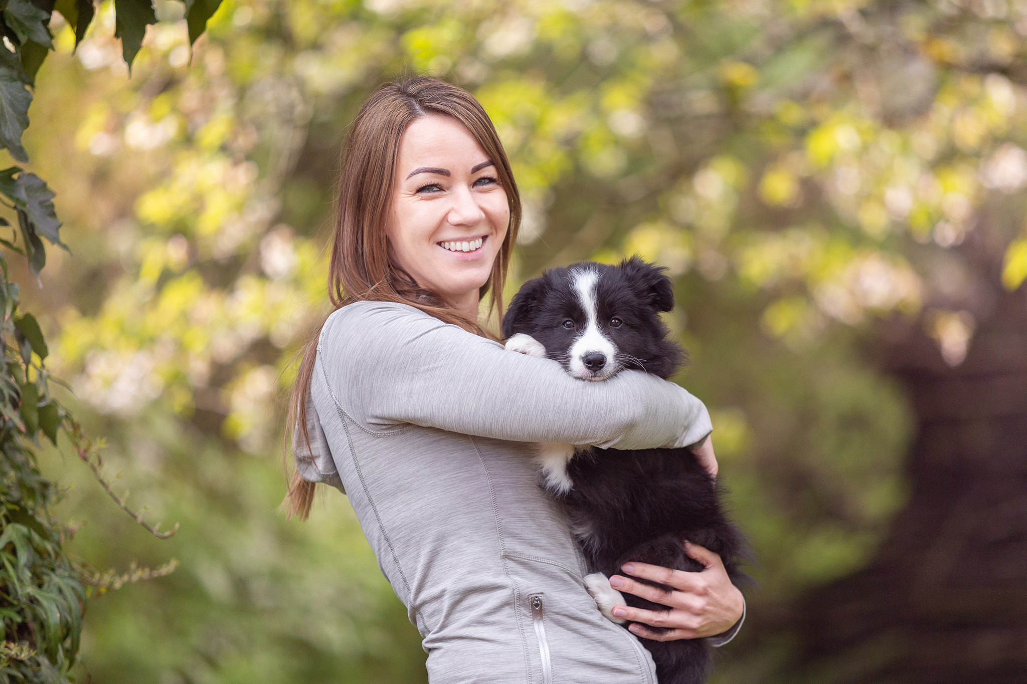 Border Collie Welpe