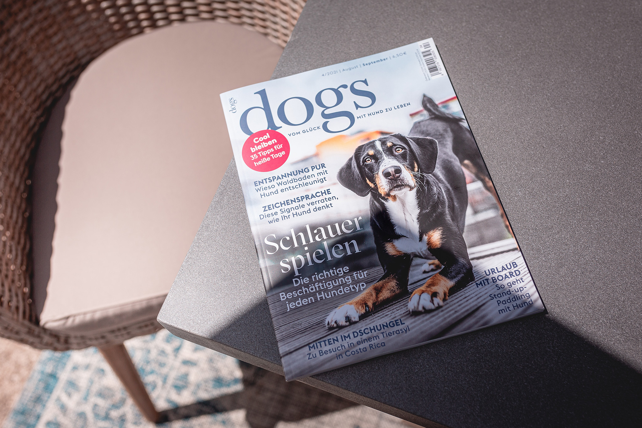 Broadmeadows im dogs-Magazin (Ausgabe 04|2021)