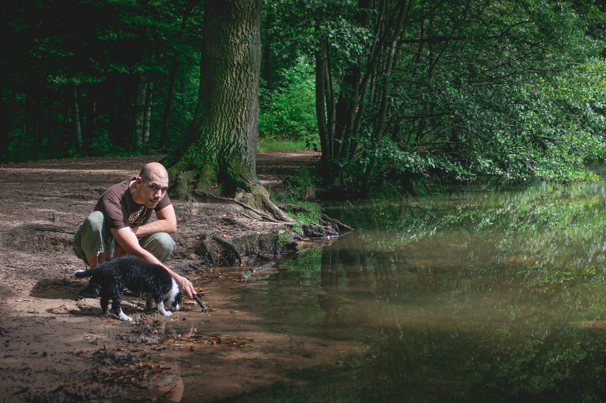 Border Collie Welpe am Maunzenweiher in Offenbach am Main