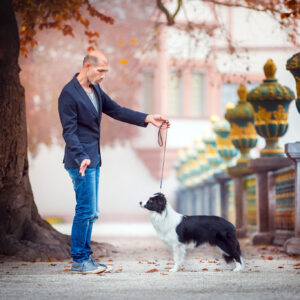 Border Collie mit Handler an Showleine im Schlossgarten Weilburg