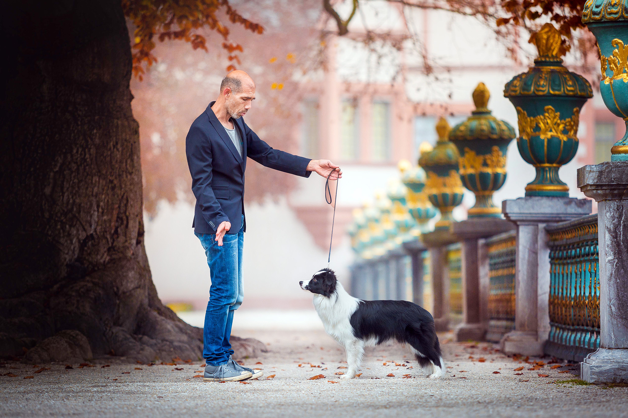 Border Collie mit Handler an Showleine im Schlossgarten Weilburg