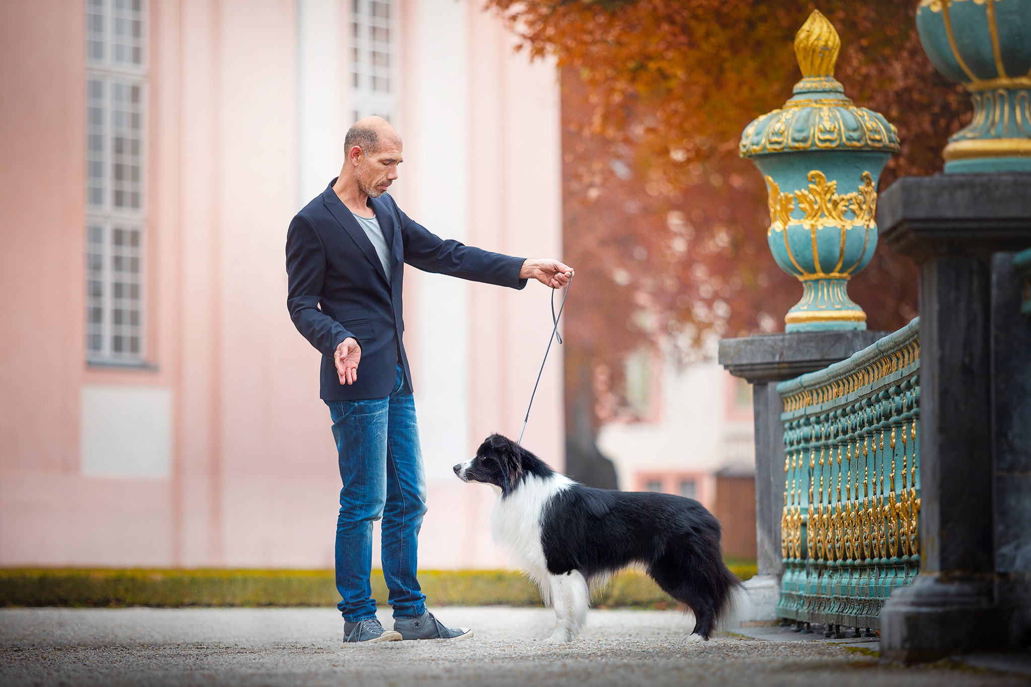 Border Collie mit Handler an Showleine im Schlossgarten Weilburg