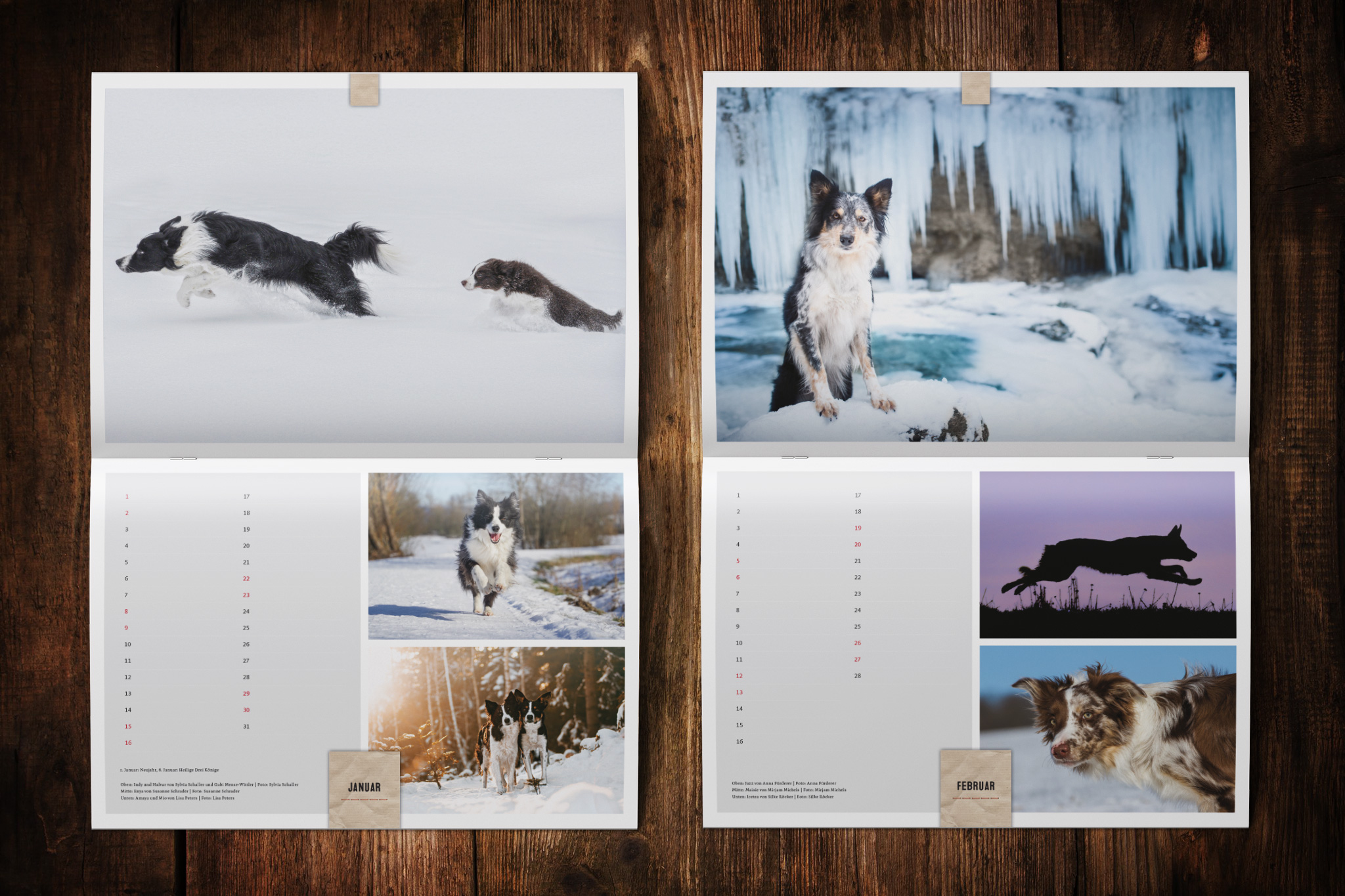 Border Collie Kalender