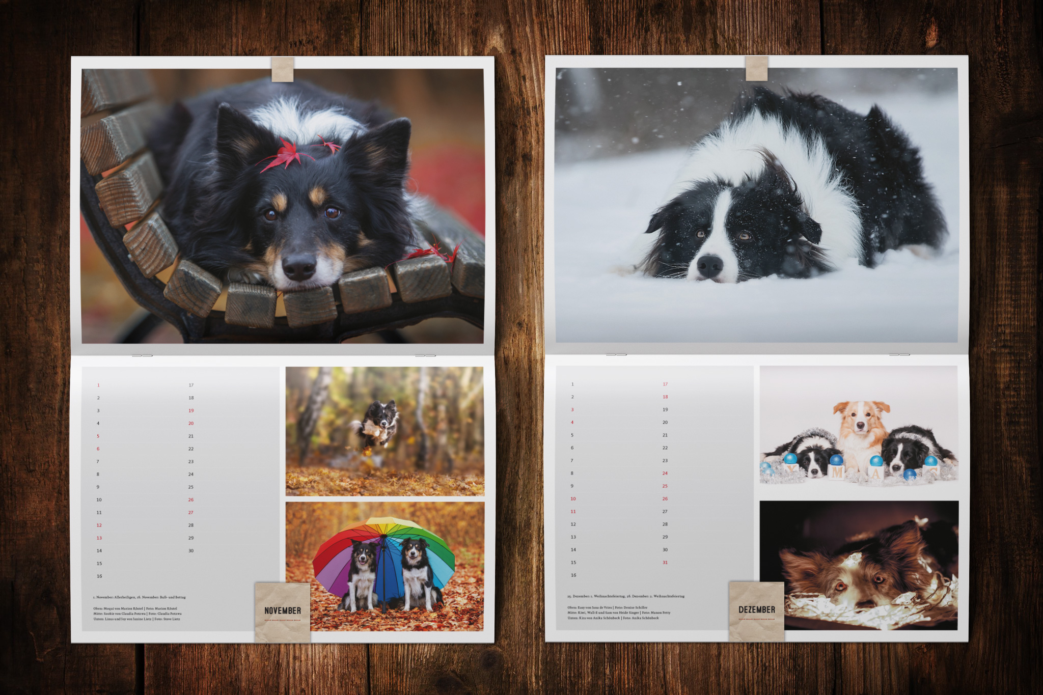 Border Collie Kalender