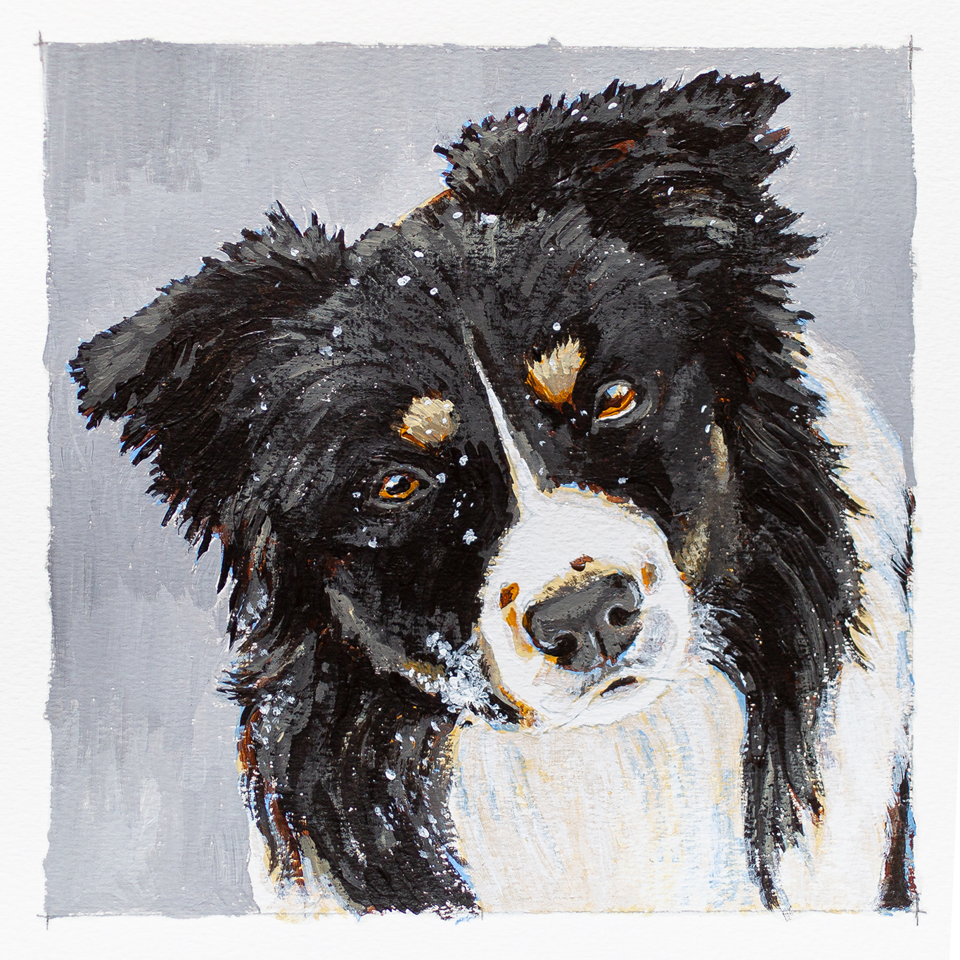 Border Collie, Acrylmalerei, Weihnachtsgeschenk, Johannes Willwacher, Rennerod, Westerwald