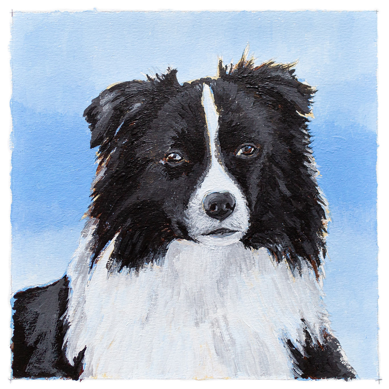 Border Collie, Acrylmalerei, Weihnachtsgeschenk, Johannes Willwacher, Rennerod, Westerwald