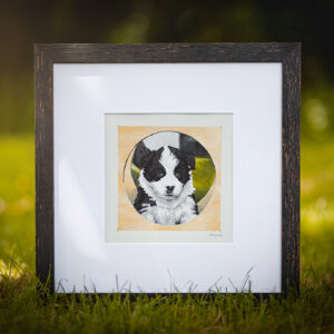 Acrylmalerei, Border Collie, Welpe, Welpe malen