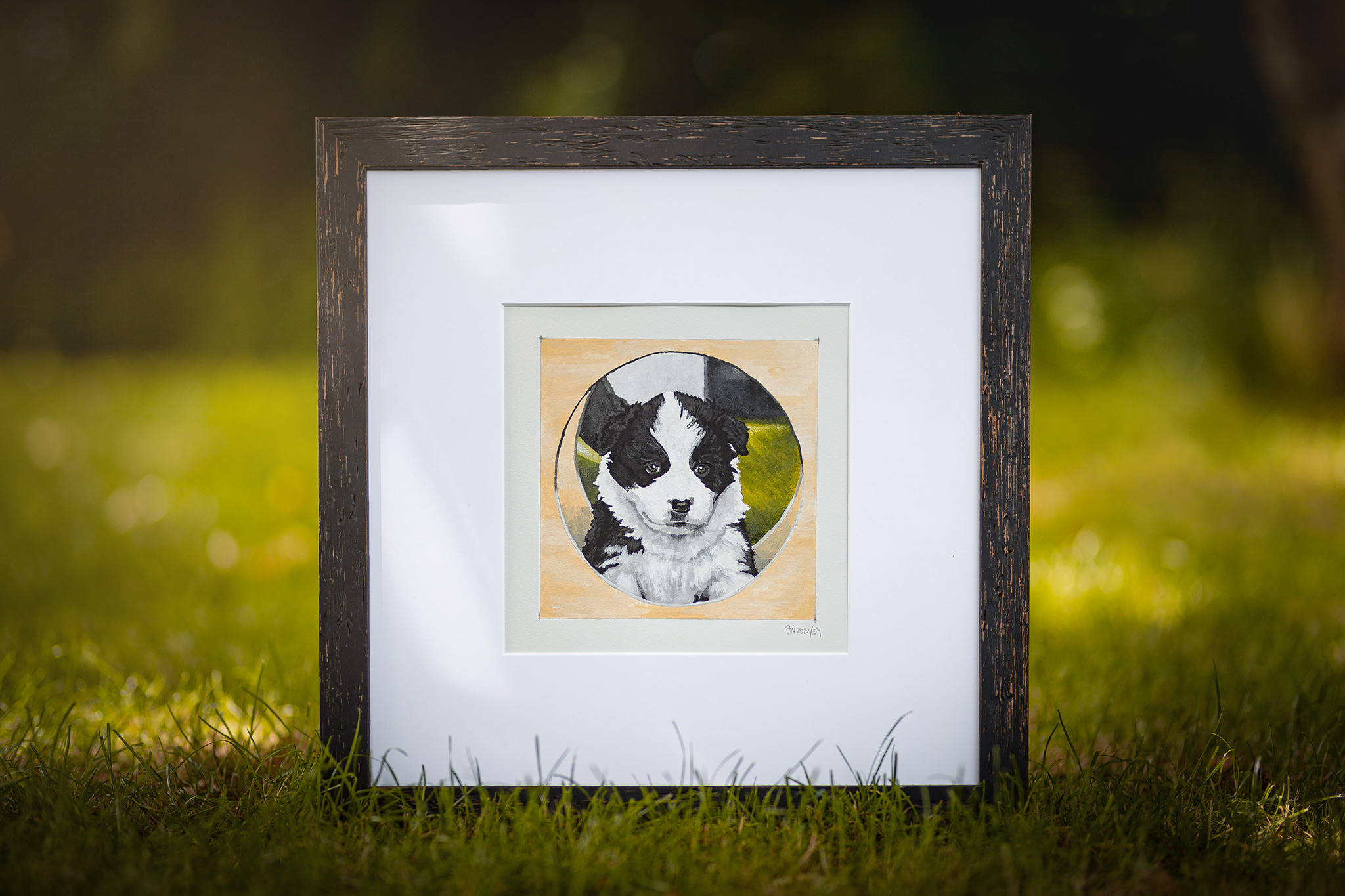 Acrylmalerei, Border Collie, Welpe, Welpe malen