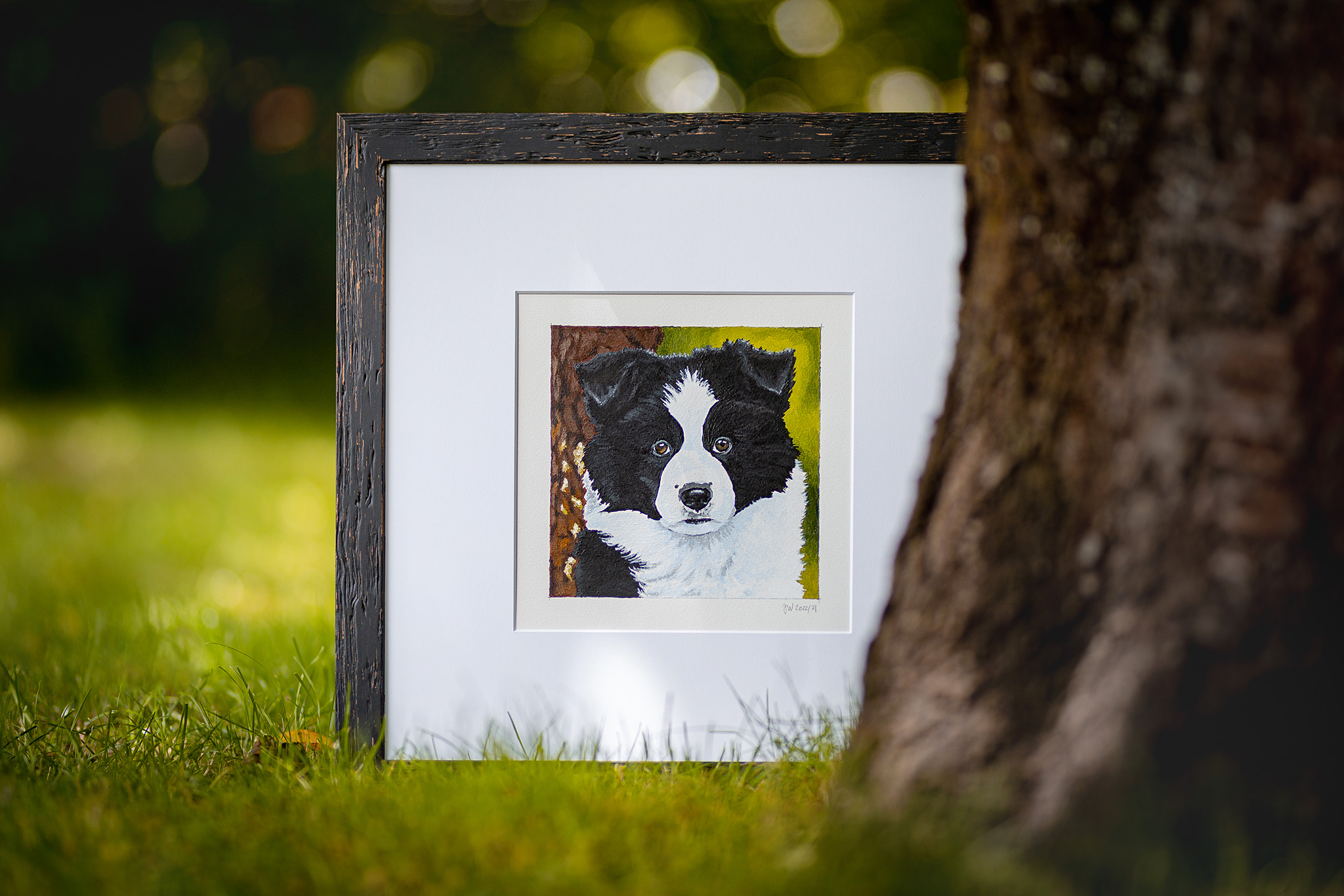 Acrylmalerei, Border Collie, Welpe, Welpe malen