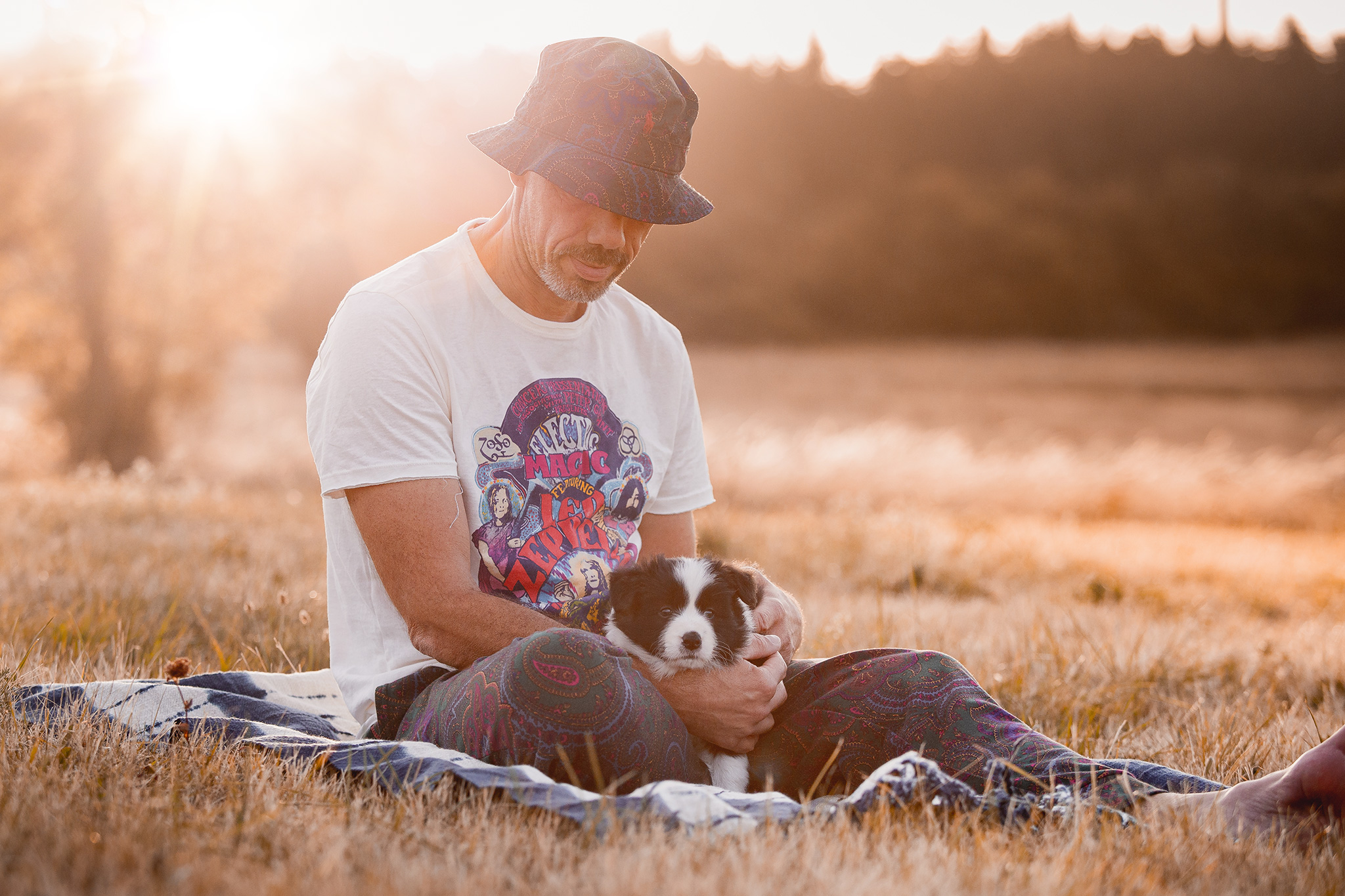 Border Collie Welpe in der 6. Lebenswoche