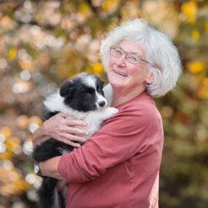 Border Collie Welpe