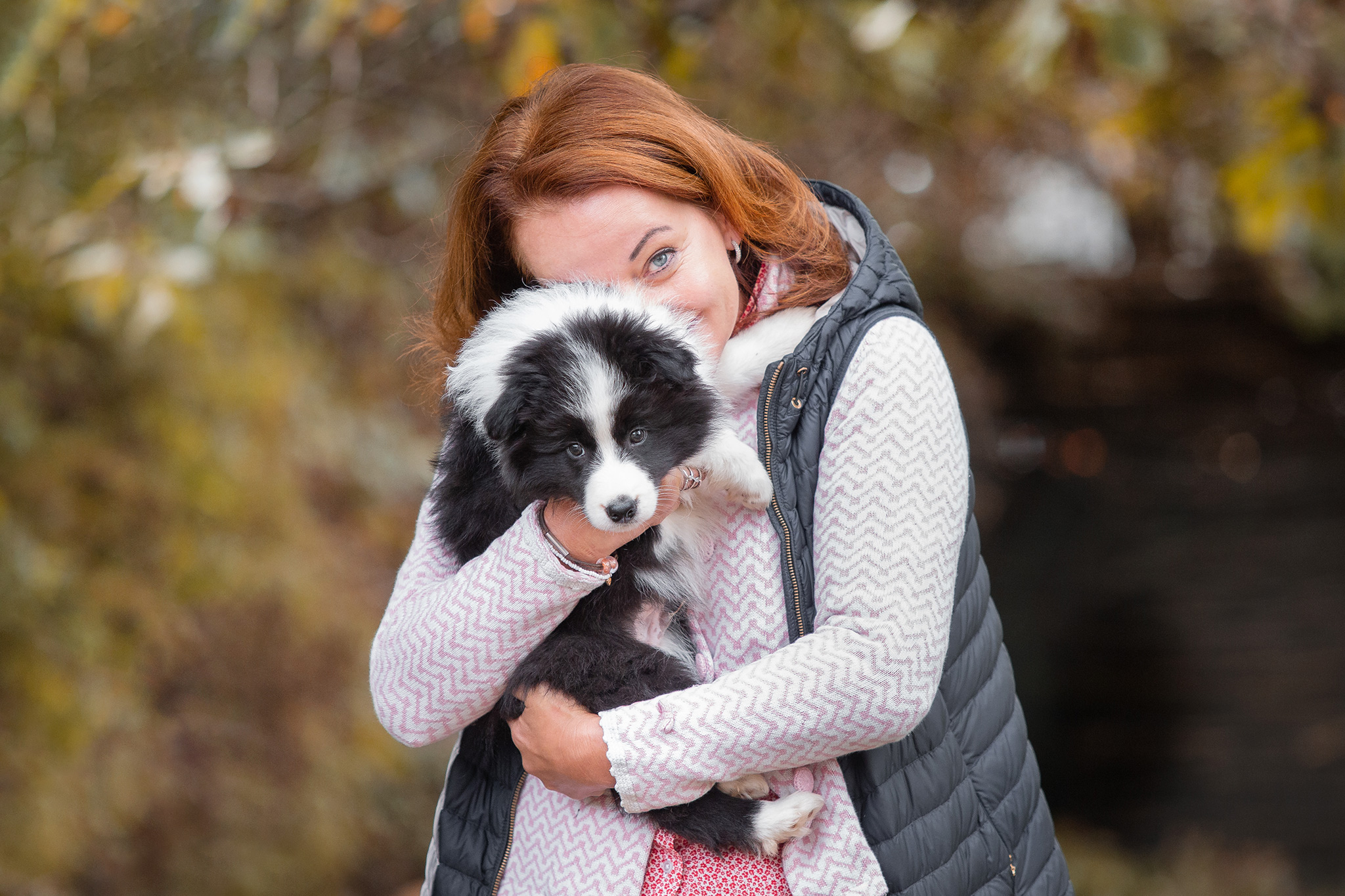 Border Collie Welpe beim Auszug mit 9 Wochen