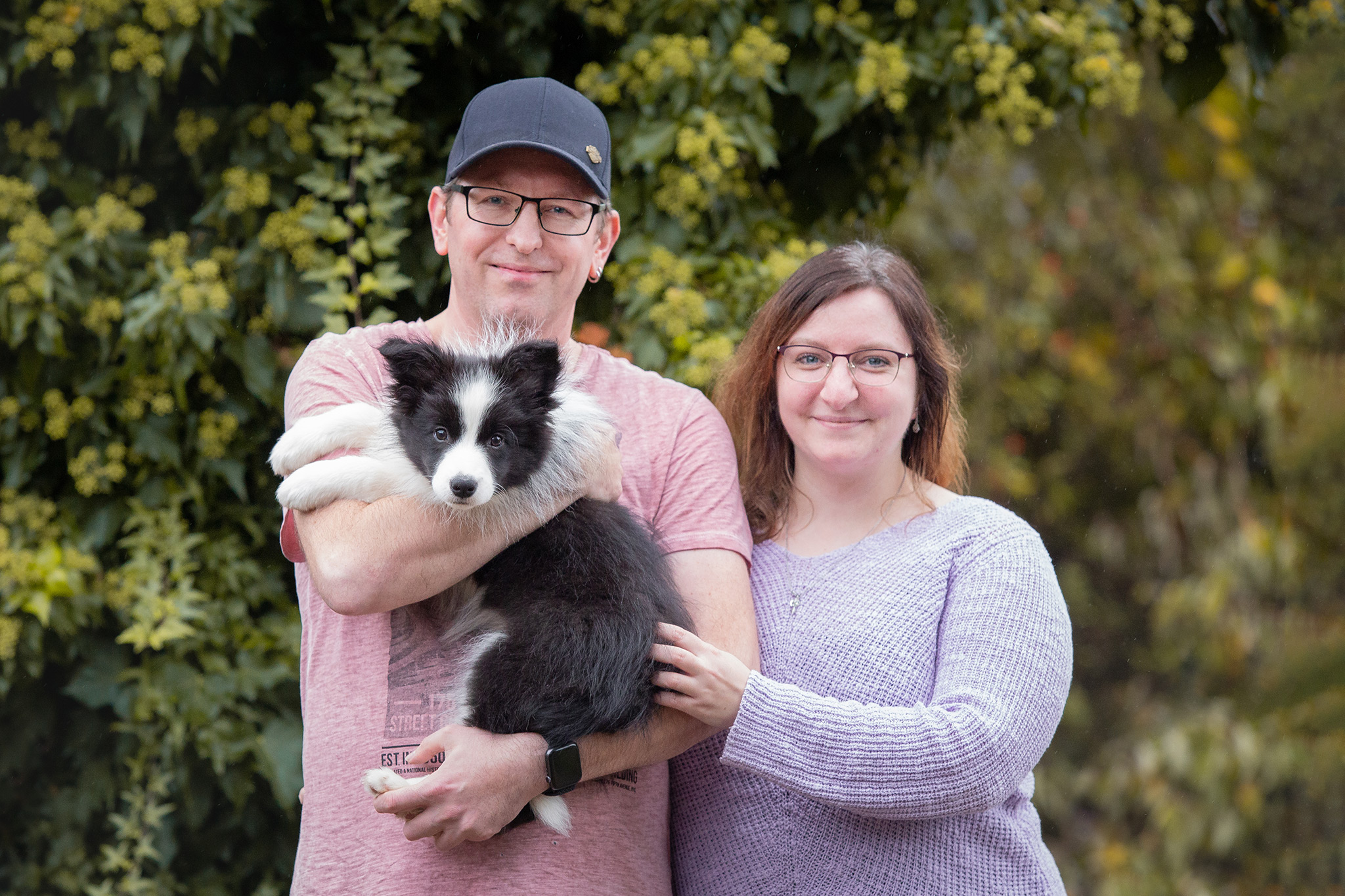 Border Collie Welpe