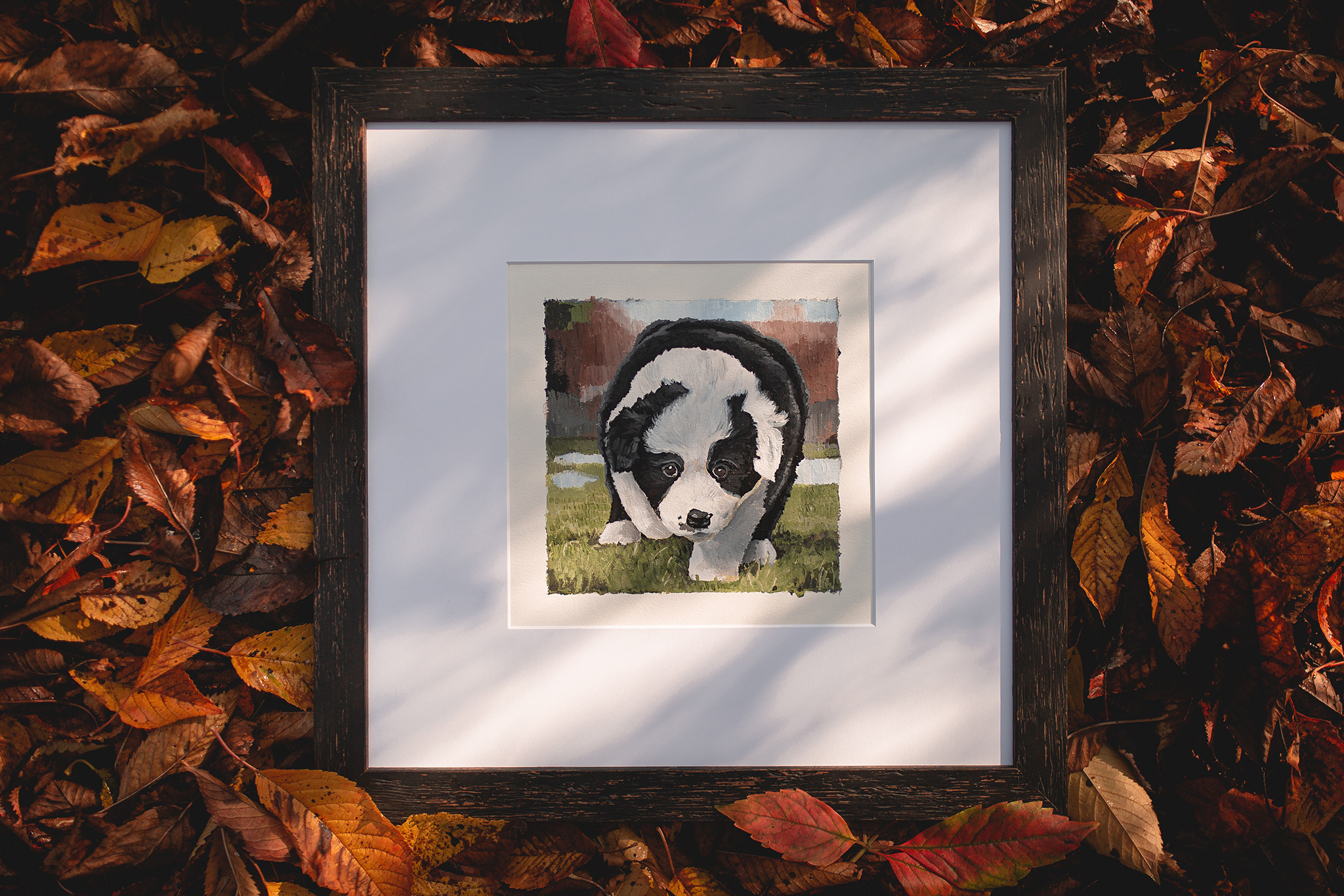 Gerahmtes Acrybild eines Border Collie Welpen im bunten Herbstlaub