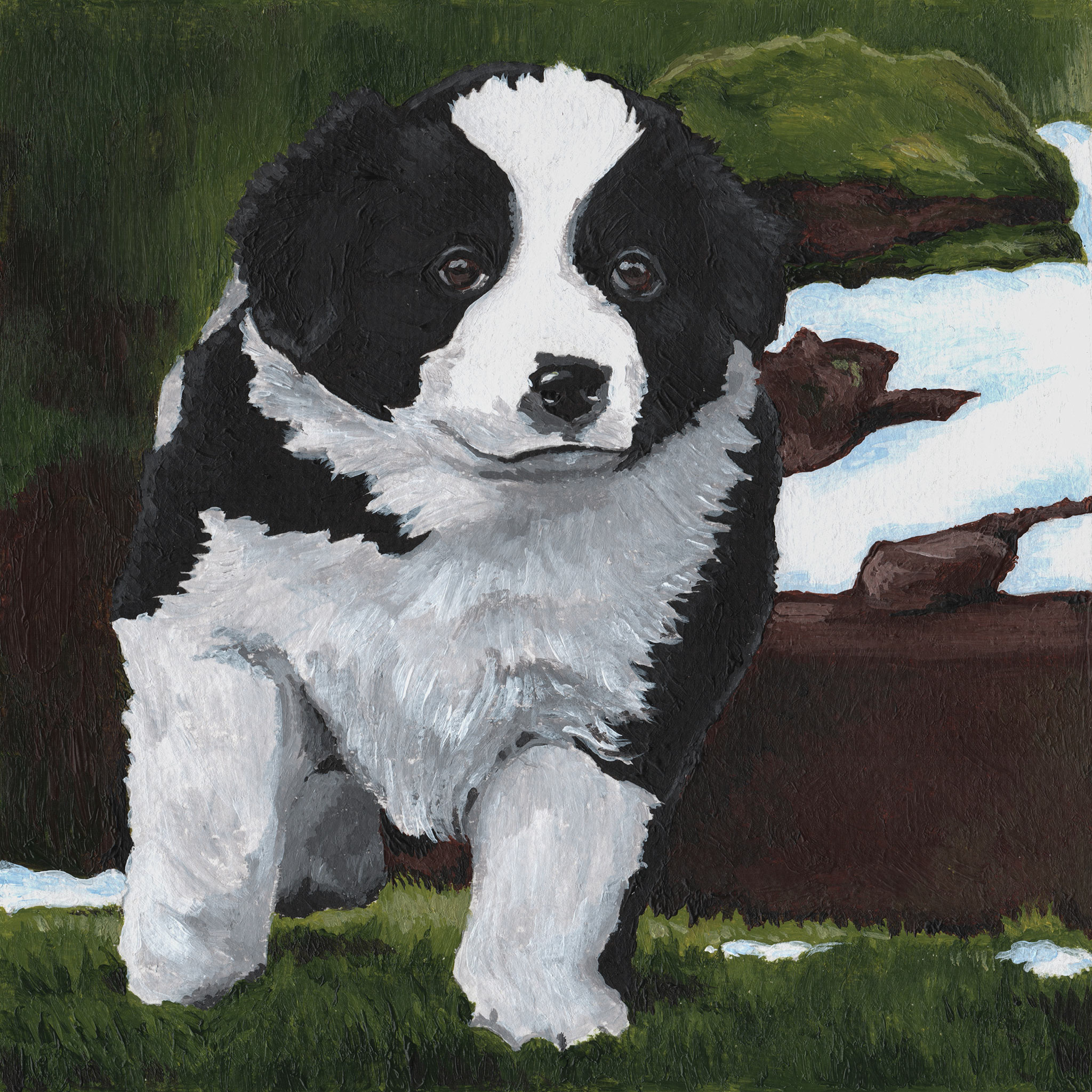 Acrylgemälde eines Border Collie Welpen