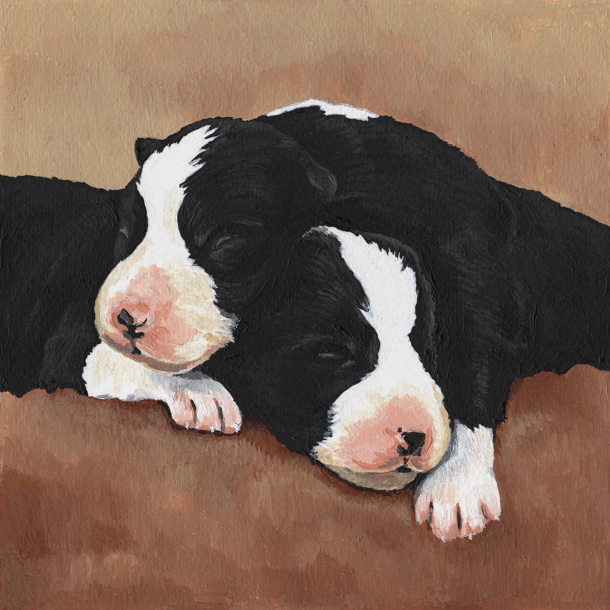 Acrylgemälde zweier Border Collie Welpen