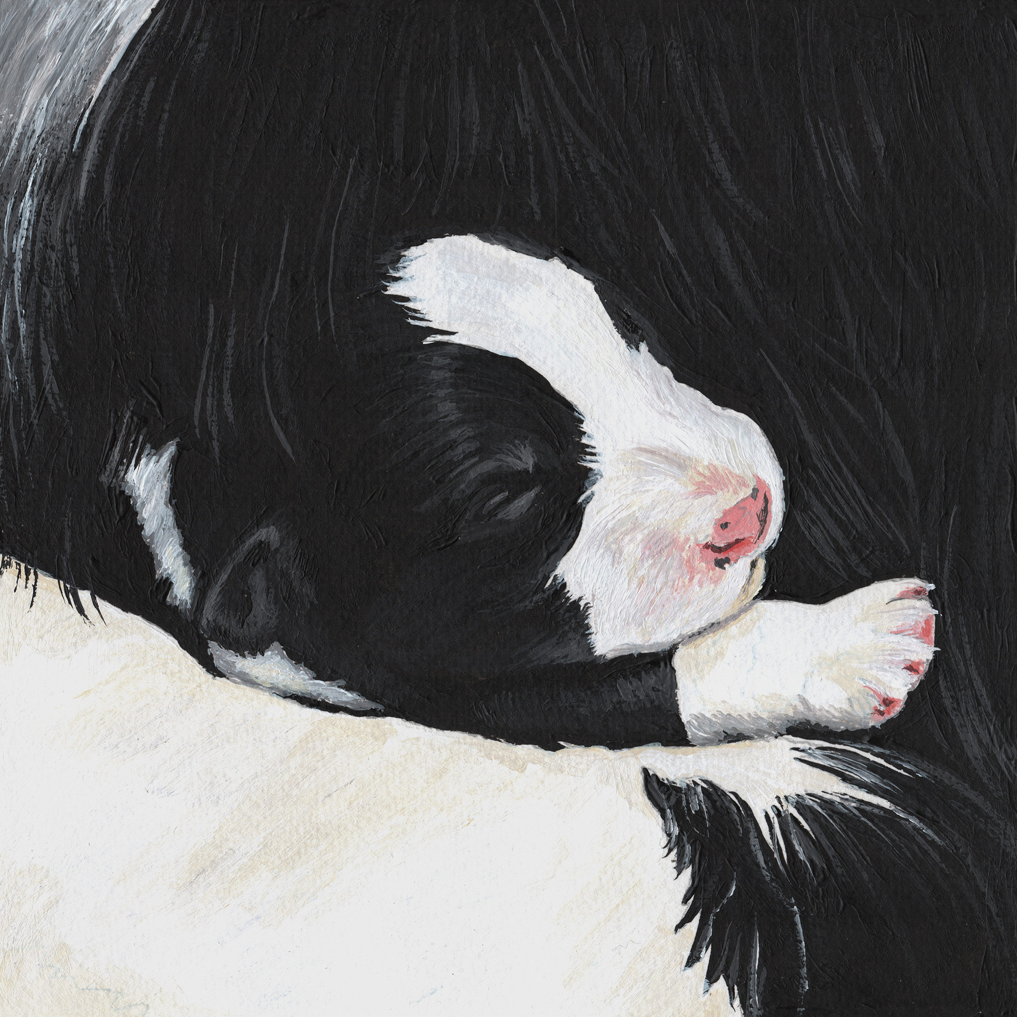 Acrylgemälde eines Border Collie Welpen