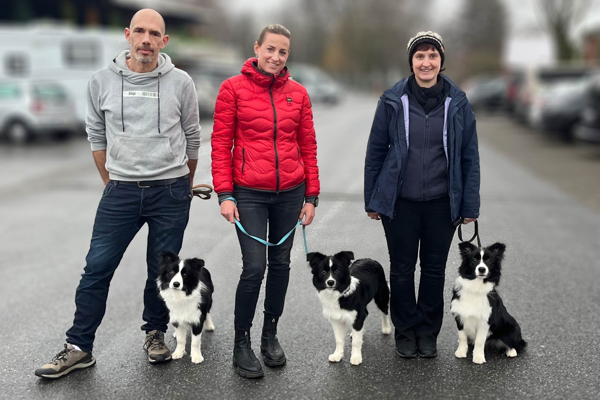 Gruppenfoto eines Mannes und zwei Frauen mit drei sechs Monate alten schwarz-weißen Border Collies.