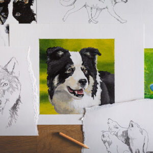 Zeichnung von Wölfen und Hunden