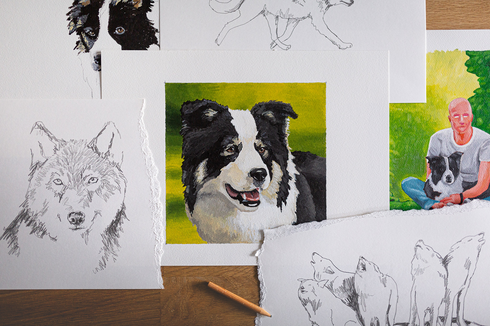 Zeichnung von Wölfen und Hunden