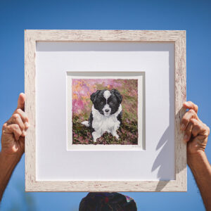 Gerahmtes Acrylgemälde eines Border Collie Welpen im blühenden Heidekraut, das vor einem blauen Himmel hochgehalten wird