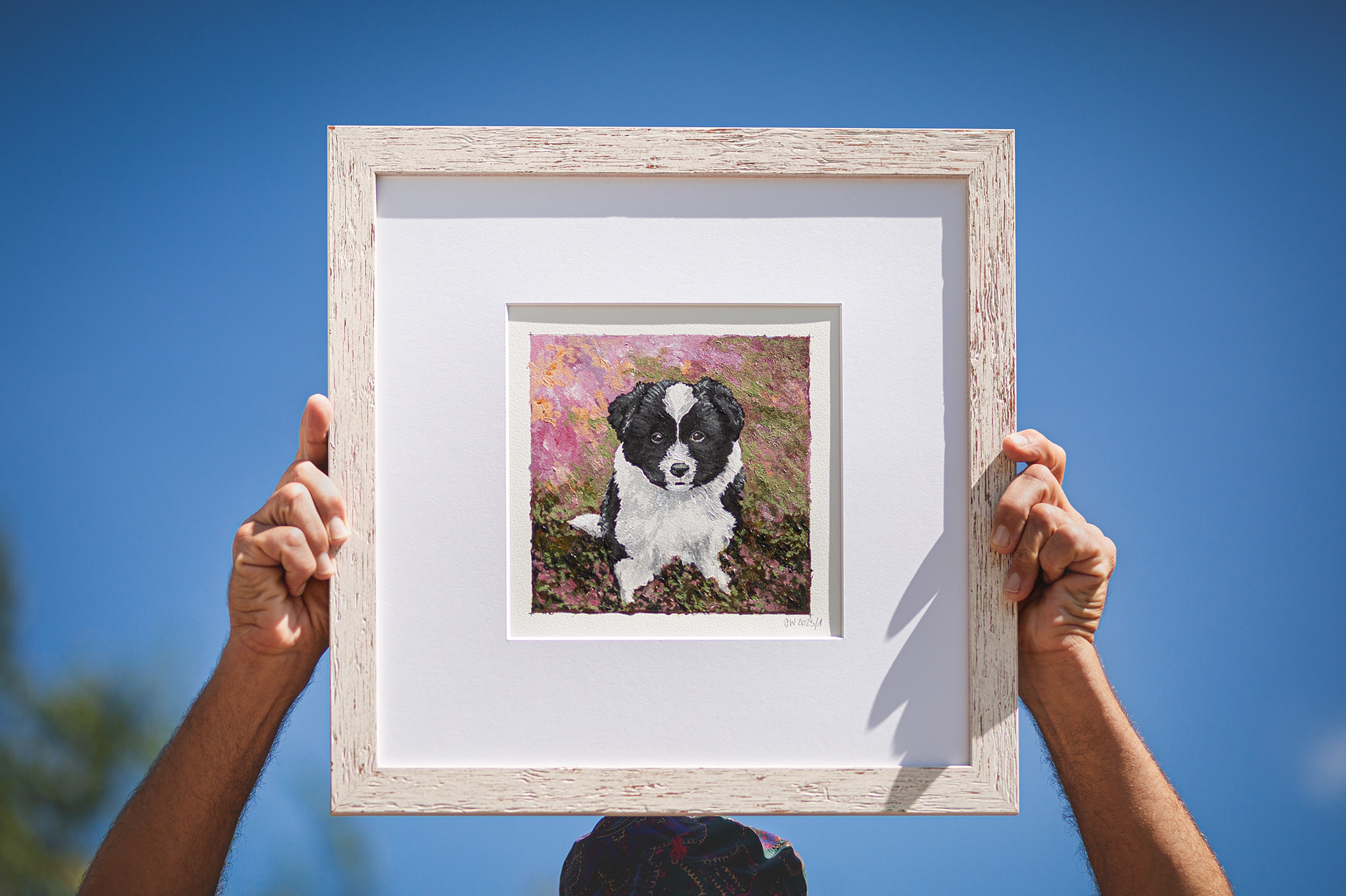 Gerahmtes Acrylgemälde eines Border Collie Welpen im blühenden Heidekraut, das vor einem blauen Himmel hochgehalten wird