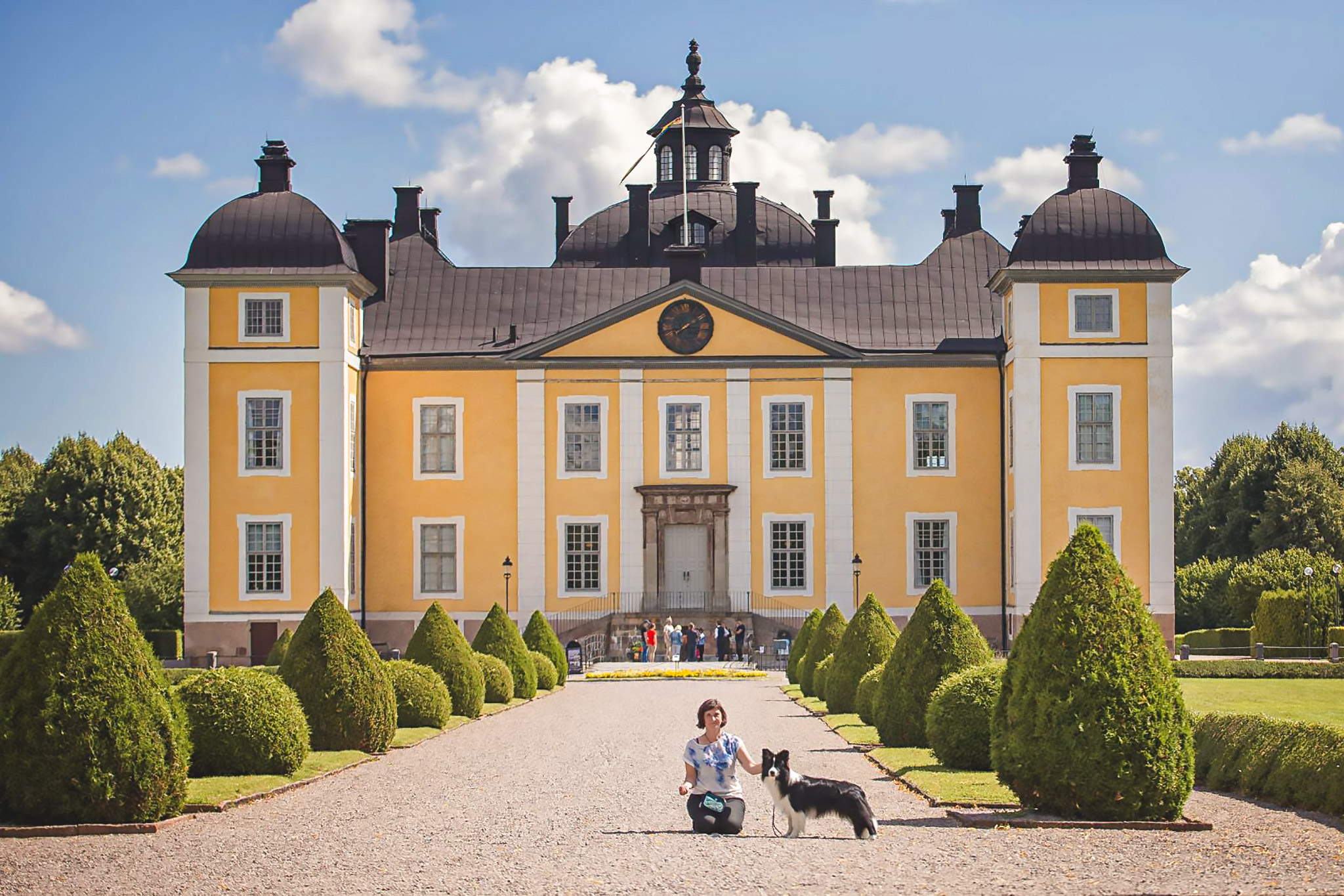 Border Collie vor einem Schloss bei einer Hundeausstellung in Schweden