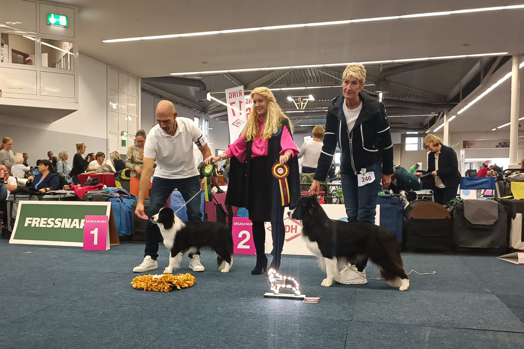 Border Collies auf der VDH Bundessieger-Ausstellung in Dortmund