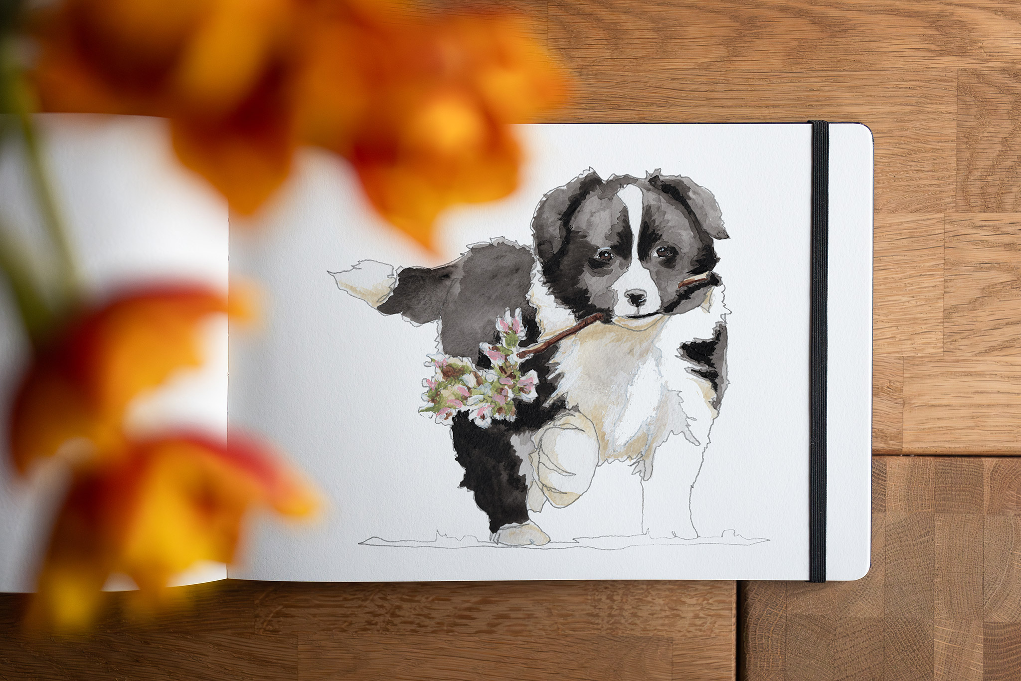 Aquarellierte Bleistiftzeichnung eines Border Collie Welpen, der einen blühenden Apfelzweig hält, in einem Skizzenbuch, das unter einem Strauß Tulpen auf einem braunen Holztisch liegt