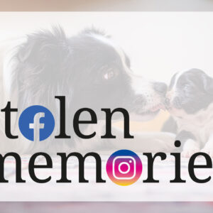 Stolen Memories: Fakeprofile und gestohlene Fotos in den sozialen Netzwerken