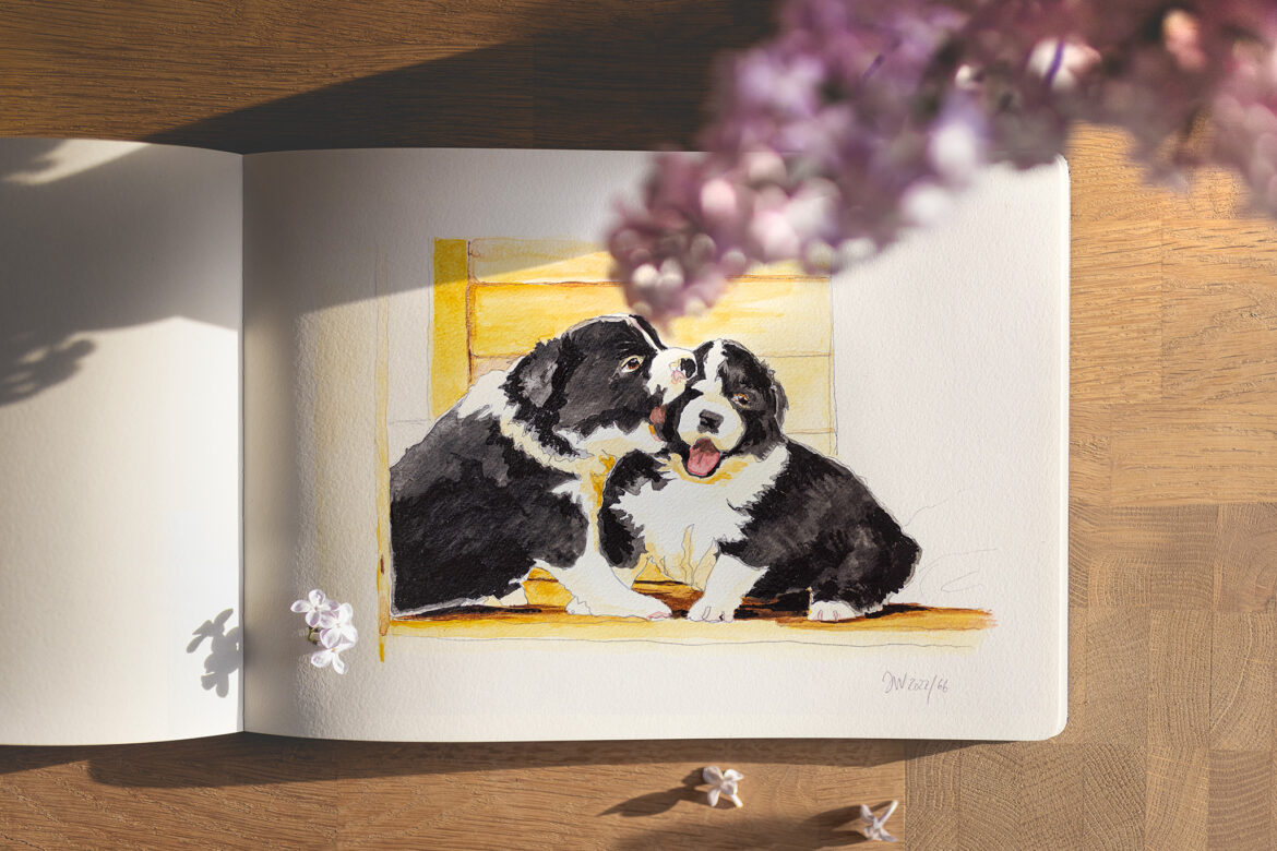 Kolorierte Bleistiftskizze zweier Border Collie Welpen