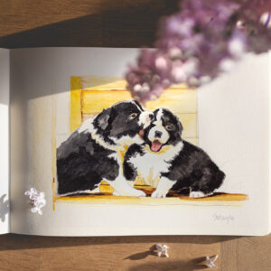 Kolorierte Bleistiftskizze zweier Border Collie Welpen