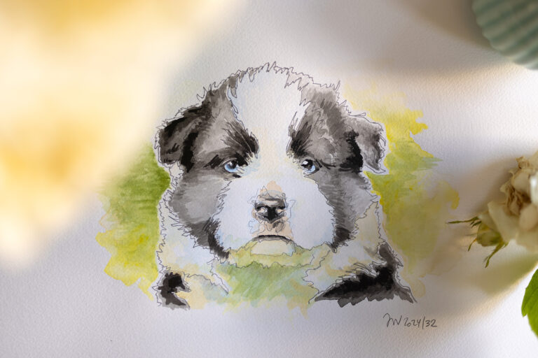 Aquarell eines Border Collie Welpen