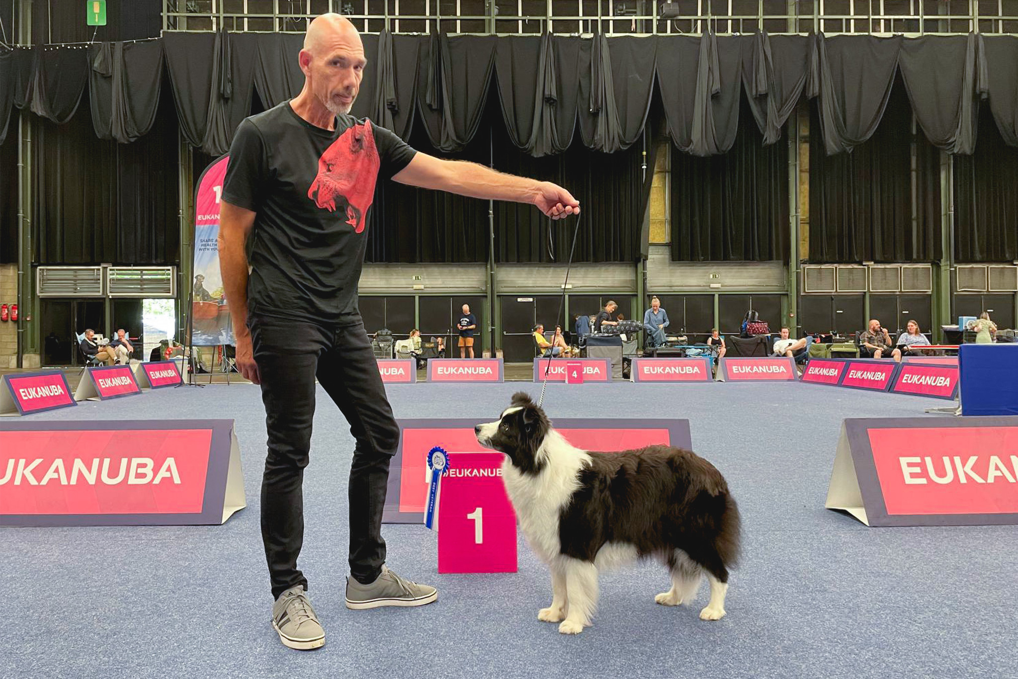 29|06|2025 – Heidi, CIB DCh Simaro Queen of Hearts Border Collie, CACIB Genk 2025