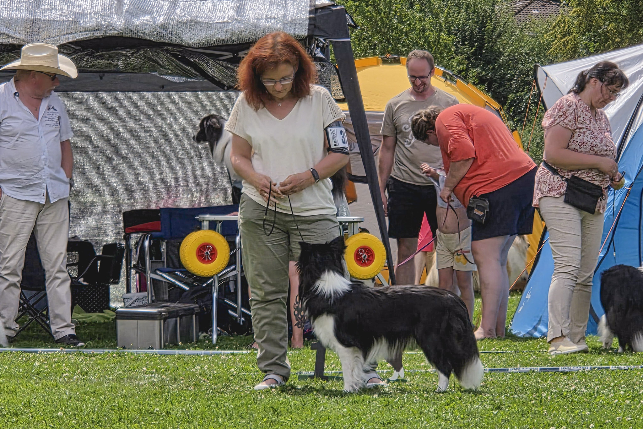 29|06|2025 – Kate, Broadmeadows Kate Moss Border Collie, CAC Garbsen 2025
