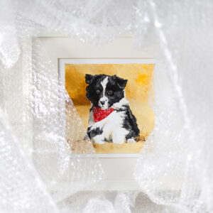Gemalter Border Collie Welpe