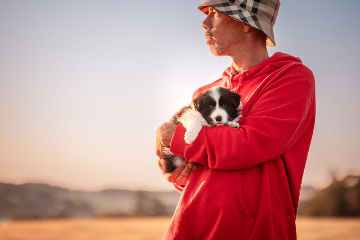 Fotoshooting mit 5 Wochen altem Border Collie Welpen bei Sonnenaufgang