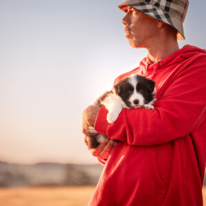 Fotoshooting mit 5 Wochen altem Border Collie Welpen bei Sonnenaufgang