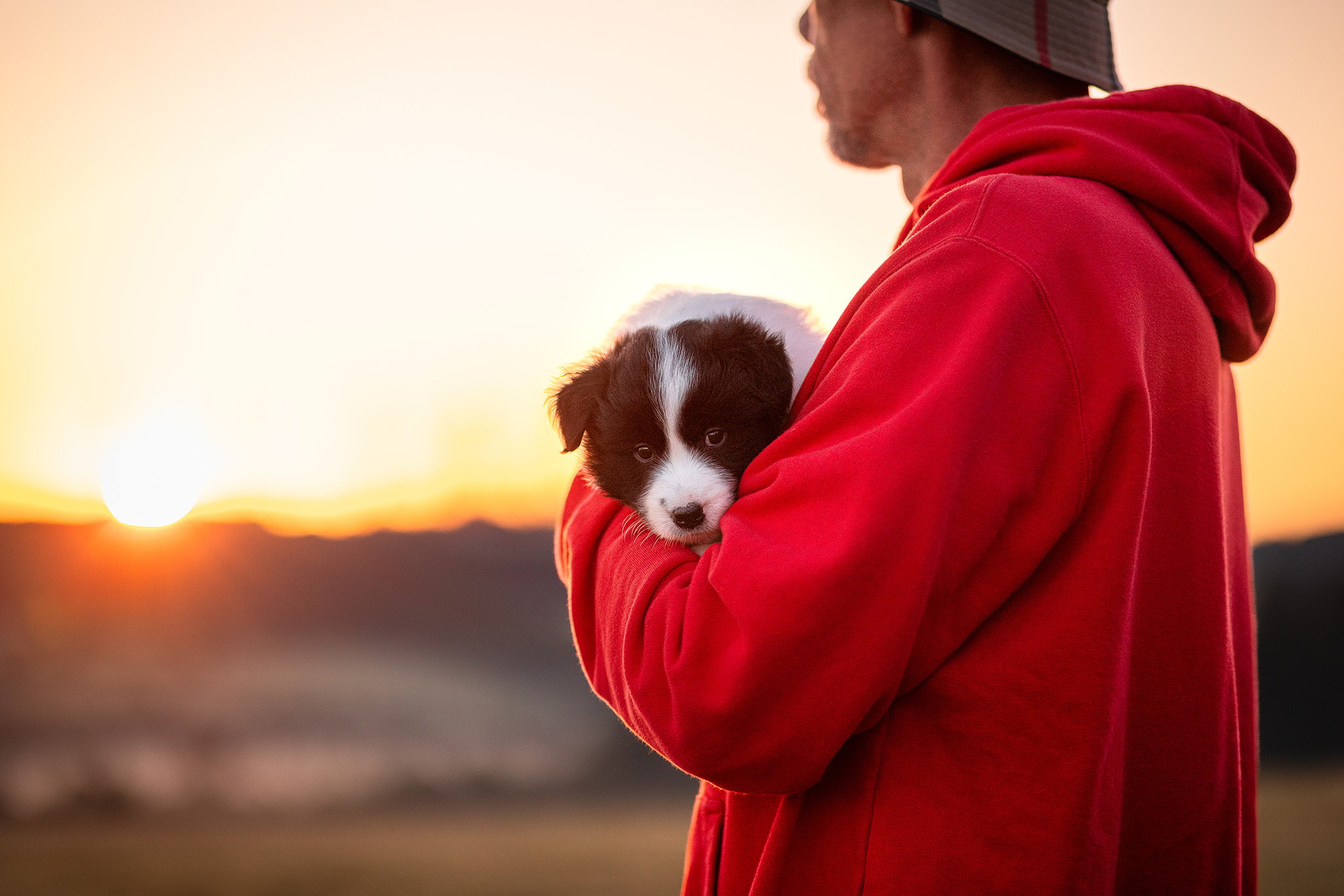 06|09|2025 – Welpe No. 1, Hündin Fotoshooting mit 5 Wochen altem Border Collie Welpen bei Sonnenaufgang