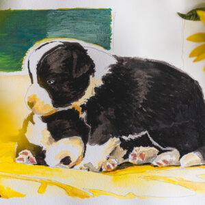 Skizze von zwei spielenden Border Collie Welpen