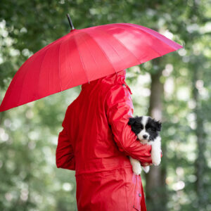 Mit unseren sechs Wochen alten Border Collie Welpen in der Holzbachschlucht