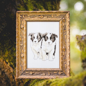 Gerahmte Bleistiftzeichnung zweier Border Collie Welpen