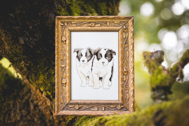Gerahmte Bleistiftzeichnung zweier Border Collie Welpen