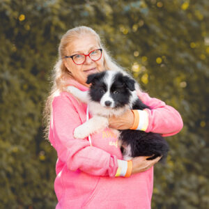 Border Collie Welpe bei der Abholung