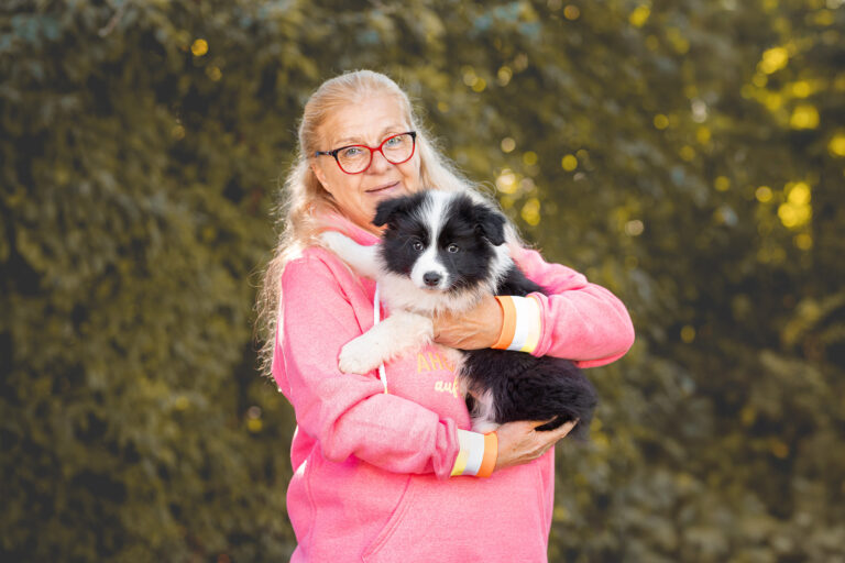 Border Collie Welpe bei der Abholung