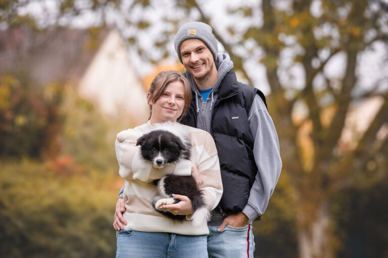 Border Collie Welpe bei der Abholung