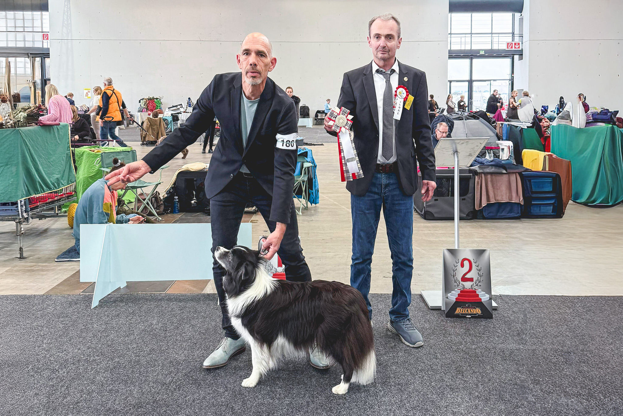 Border Collie Hündin Fate (Broadmeadows Higher Love) gewinnt unter Richter Michael Wirth die Championklasse auf der CACIB Karlsruhe