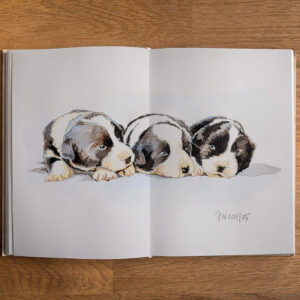 Skizzenbuch mit aquarellierter Bleistiftzeichnung dreier Border Collie Welpen