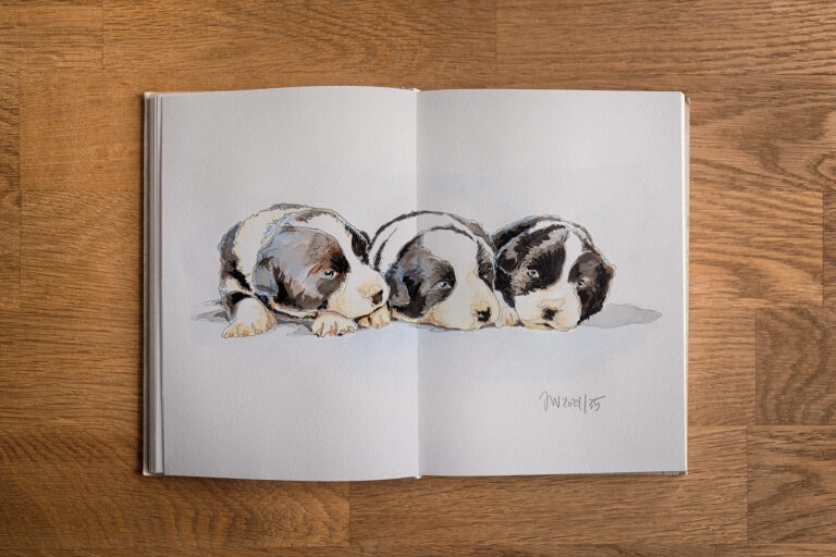 Das Davor und das Danach Skizzenbuch mit aquarellierter Bleistiftzeichnung dreier Border Collie Welpen
